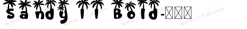 Sandy II Bold字体转换